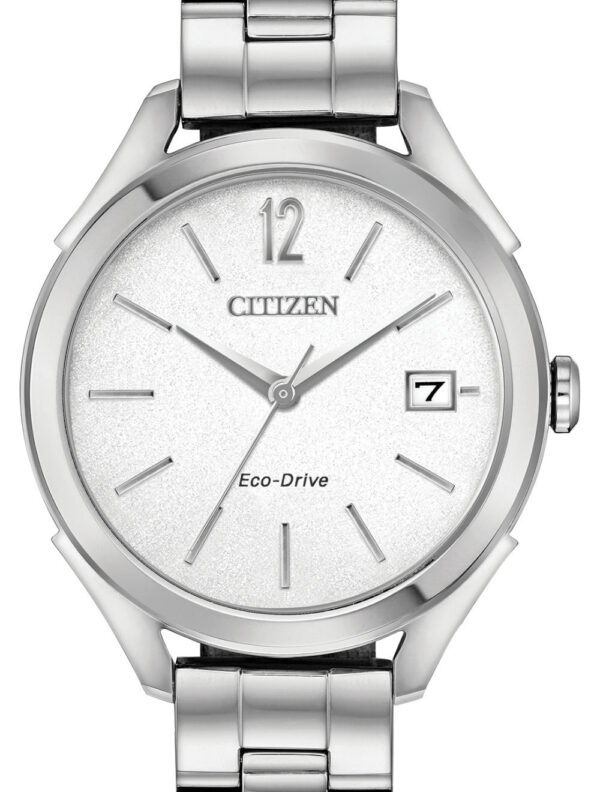 citizen eco drive stainless date watch