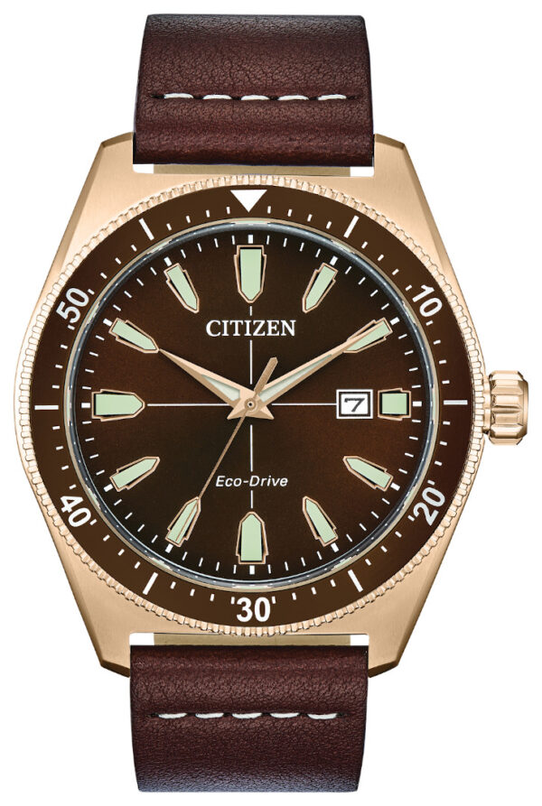 citizen eco drive brown face goldtone watch